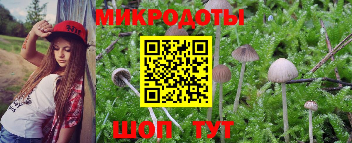 Ипатово  наркошоп  Галлюциногенные грибы мухоморы  Вход с VPN  Галлюциногенные грибы мицелий 
